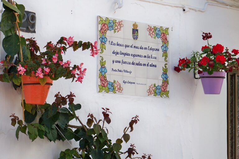 12 Poema de Pedro Villarejo C. Maria Espinosa 768x512