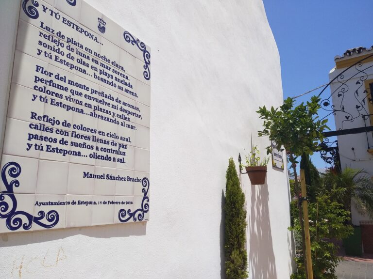 37 Y tu Estepona 768x576
