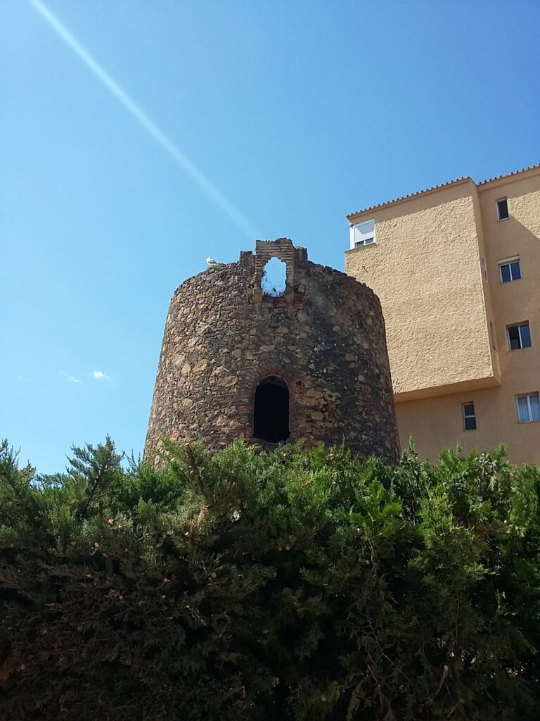 Saladavieja 768x1024