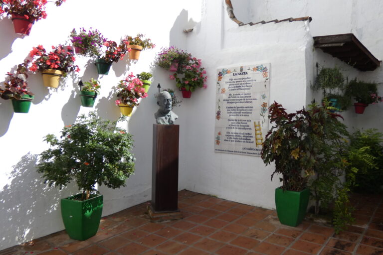 21 Rincon de la Saeta 2 768x512